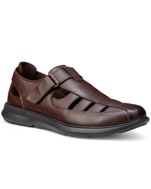 Hotter Brown Marlin Wide Fit Shoes for men