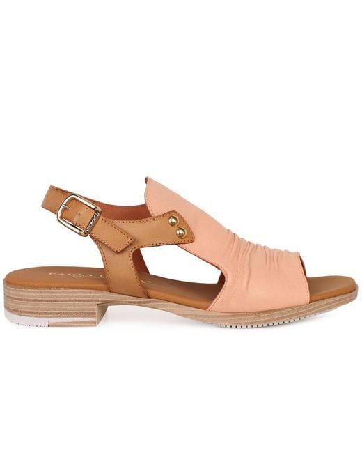 Paula Urban Brown Coastal Buckle Fastening Sandals