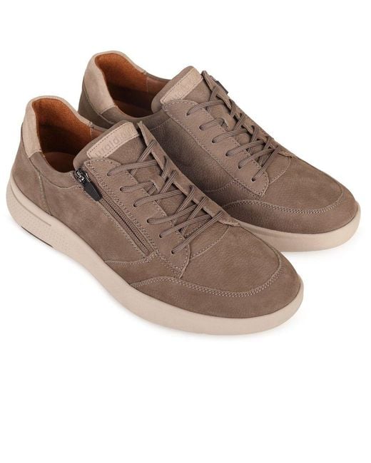 Waldläufer Brown Harry Shoes for men