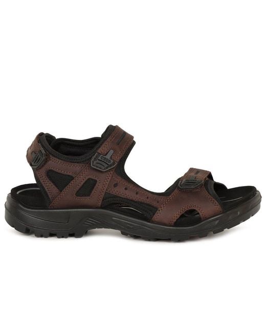 Ecco Brown Yucatan Rip Tape Fastening Sandals for men