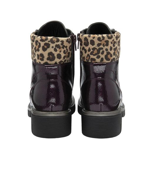 Lotus Brown Charleston Ankle Boots