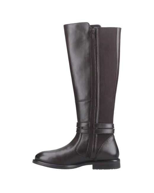 Hush Puppies Brown Victoria Knee High Boots