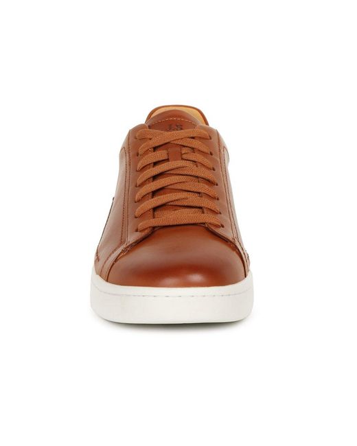 Josef Seibel Brown Cleve 02 Trainers for men