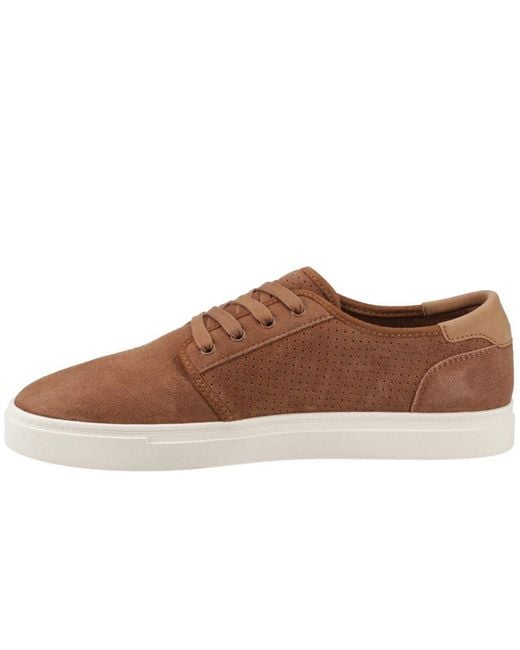 TOMS Brown Carlo 2.0 Trainers for men