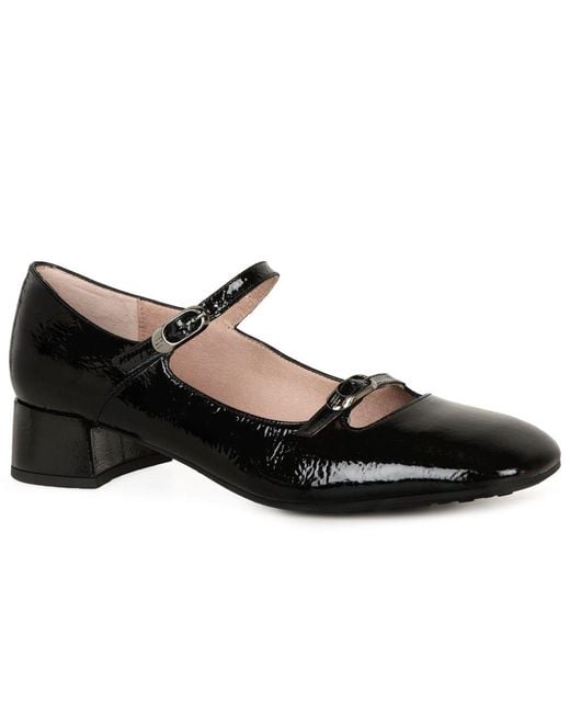 Hispanitas Black Oporto Court Shoes