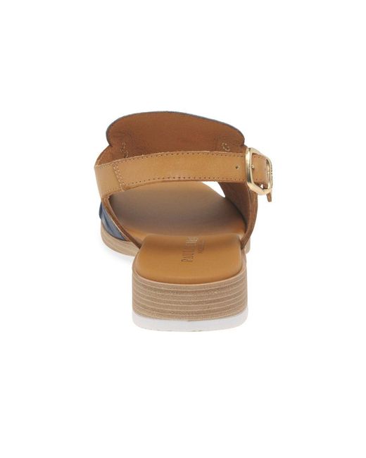 Paula Urban Blue Coastal Buckle Fastening Sandals