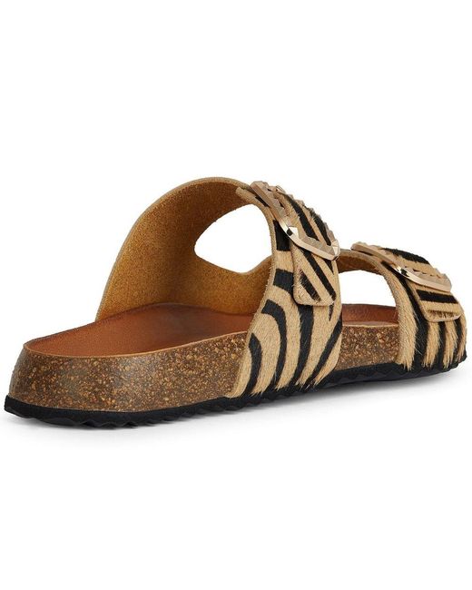 Geox Brown D New Brionia B C Sandals