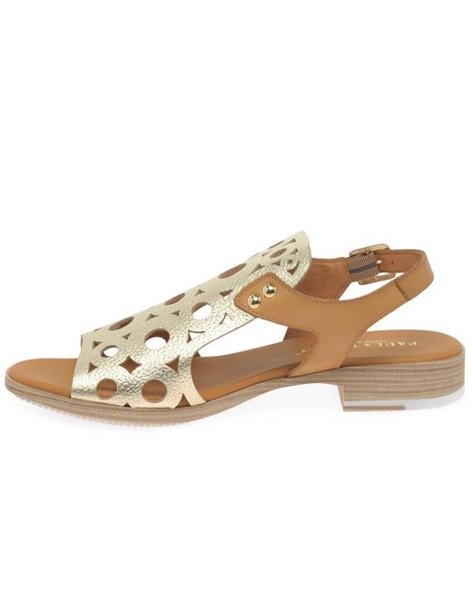 Paula Urban Brown Resort Sandals