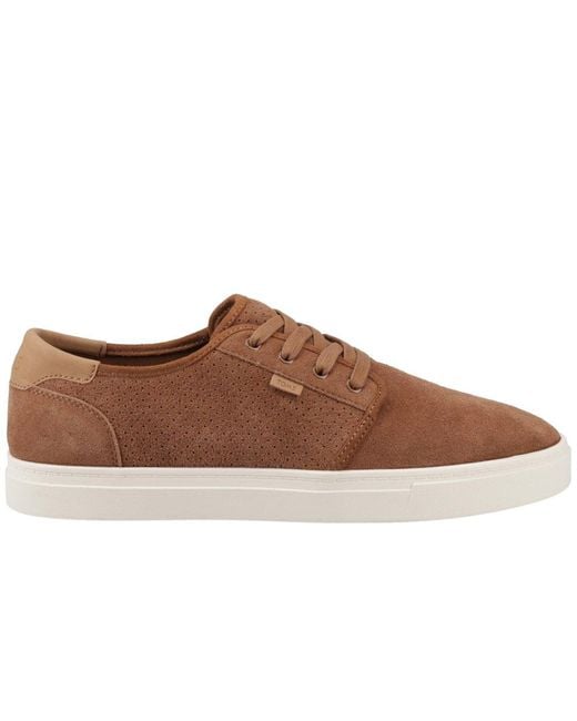 TOMS Brown Carlo 2.0 Trainers for men