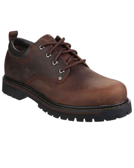 skechers tom