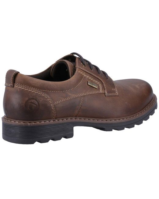 Cotswold Brown Tadwick Lace Up Shoes for men