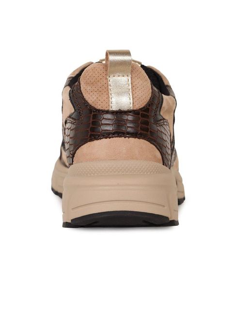Gabor Brown Adder Trainers