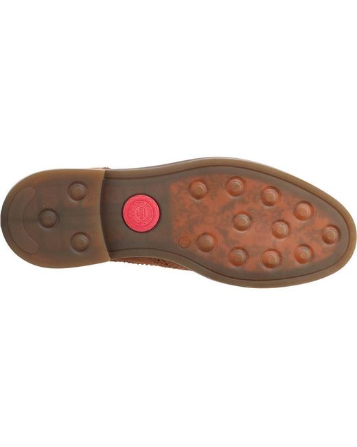Base London Brown Hatfield Brogues for men