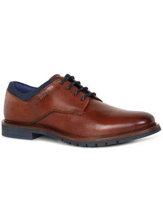 Bugatti Brown Century Shoes for men