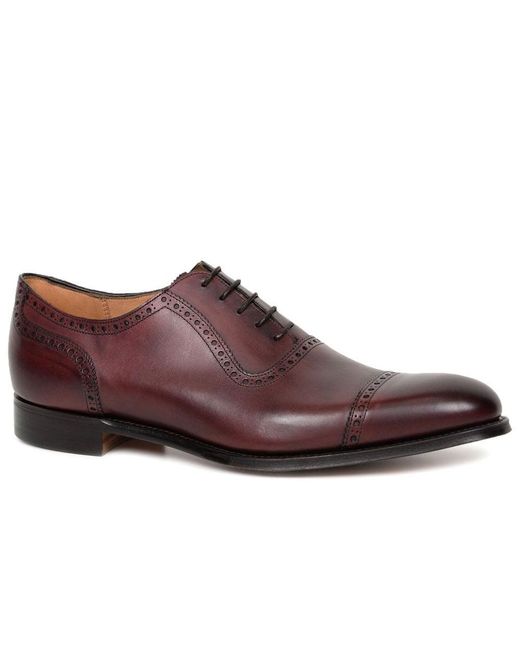 Cheaney Brown Fenchurch Oxford Shoes Colour: Burgund Calf Lea (F) for men
