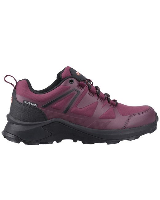 Cotswold Purple Horton Low Walking Shoes