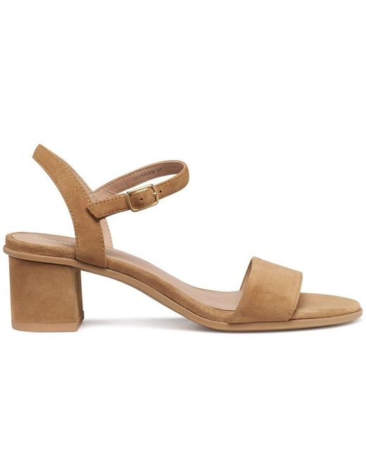 Geox Brown D Aurely 50 Heeled Sandals