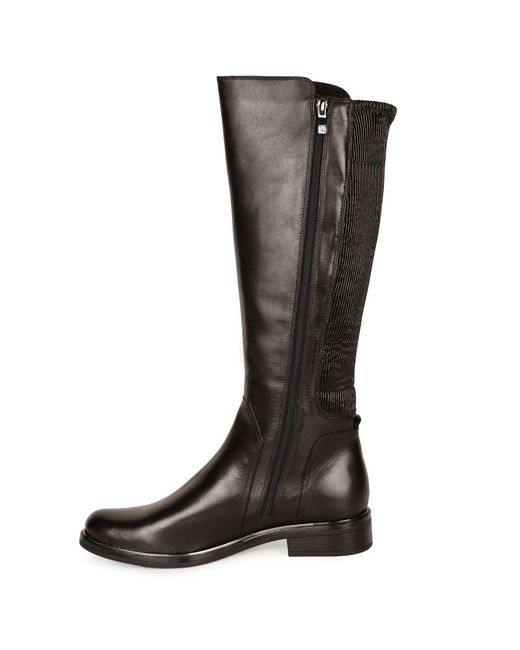 Caprice Brown Locket M Knee High Boots