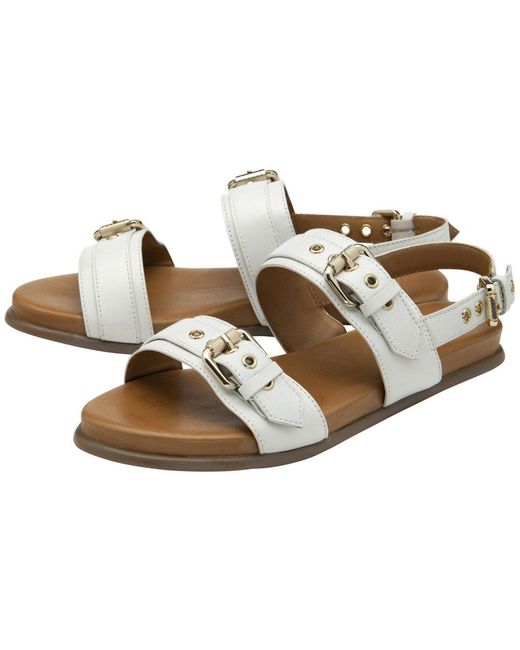 Ravel Brown Sorbie Sandals