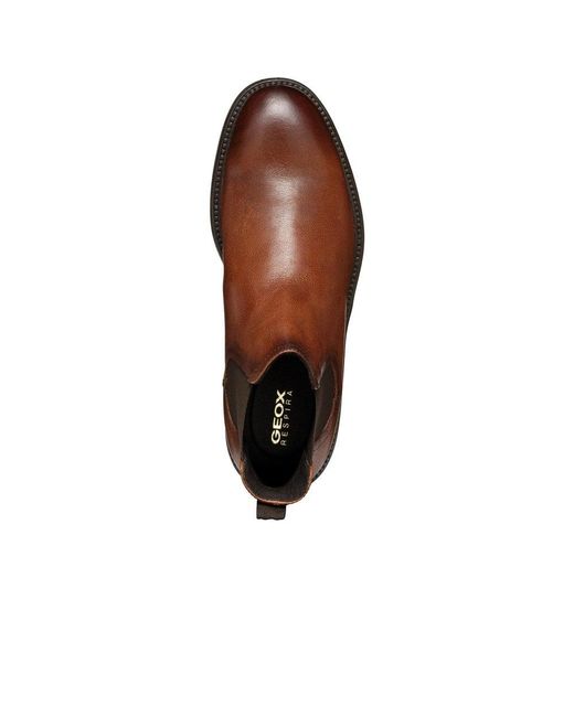 Geox Brown U Tiberio A Boots for men