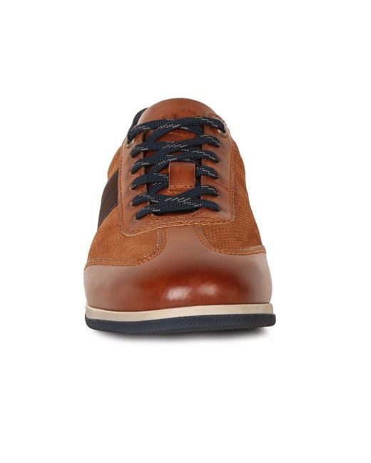 Bugatti Brown Titon Shoes for men