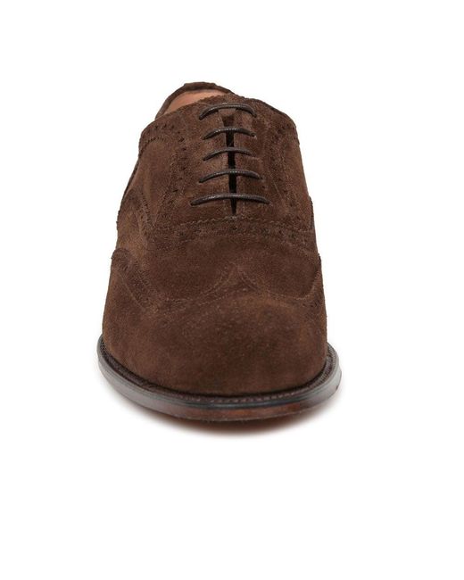 Cheaney Brown Arthur Iii Oxford Brogues for men