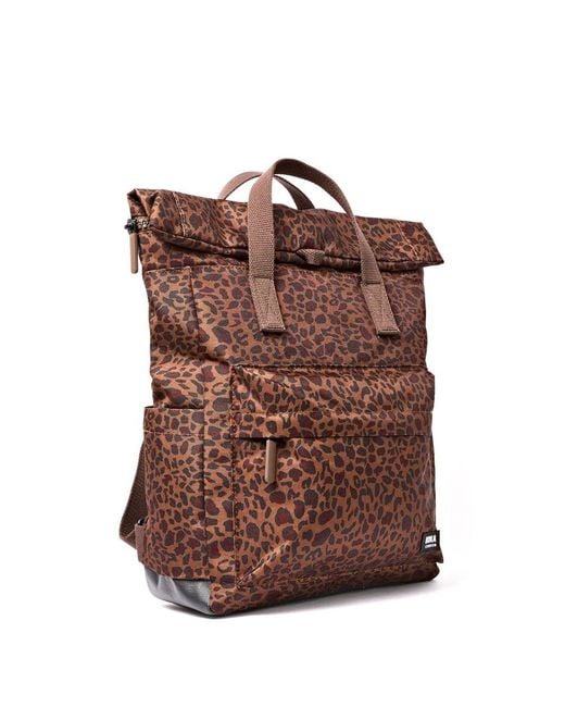 Roka Brown Canfield B Small Backpack