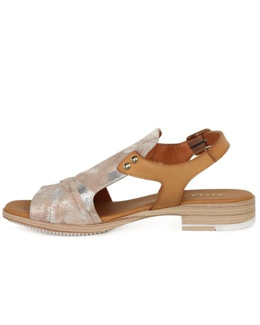 Paula Urban Brown Monte Carlo Sandals