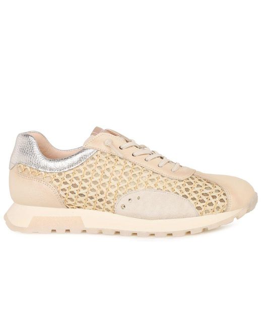 Hispanitas Natural Oregon Trainers