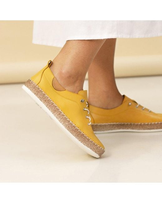 Lunar (GRS) Yellow Evie Plimsoll Trainers