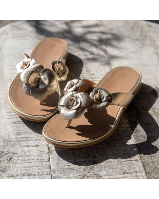 Fitflop Brown Gracie Flower Toe Post Sandals
