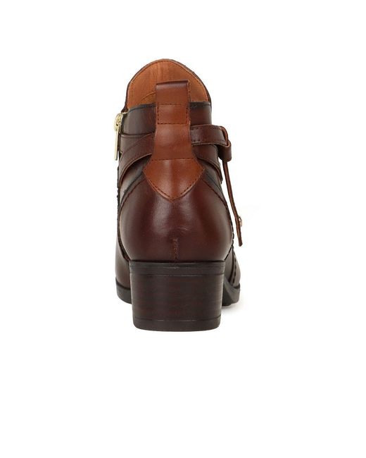Pikolinos Brown Dixie Ankle Boots
