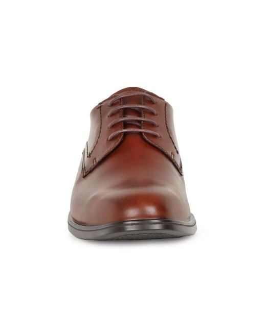 Ecco Brown Melbourne Formal Lace Up Shoes for men