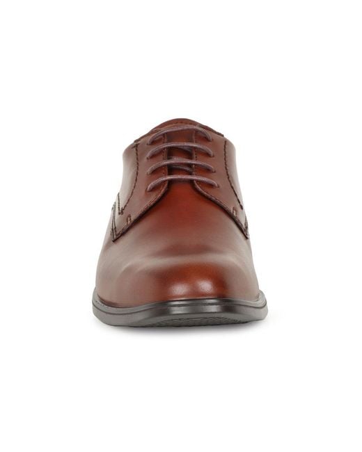 Ecco Brown Melbourne Formal Lace Up Shoes for men