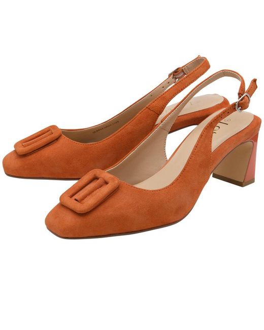 Lotus Brown Rochelle Court Shoes