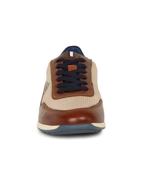 Bugatti Brown Troupe Trainers for men