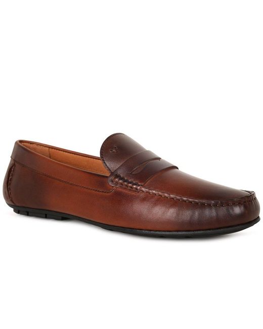Martinelli Brown Pacific Loafers for men