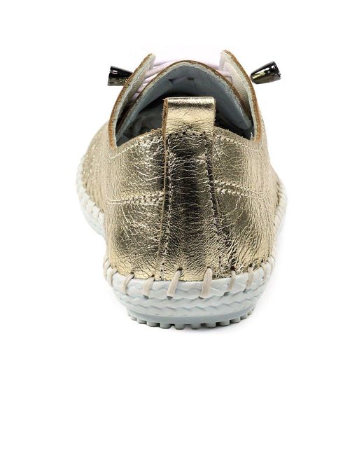 Lunar (GRS) Metallic St Ives Lace Up Shoes