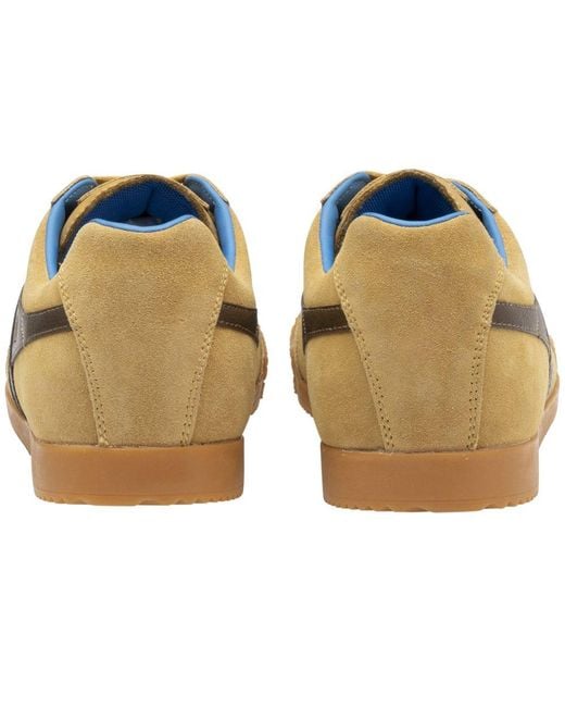 Gola Brown Harrier Trainers for men