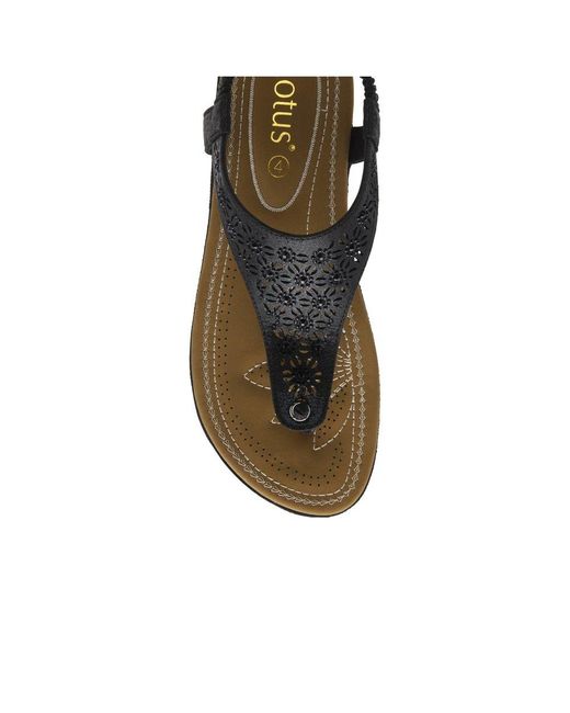 Lotus Black Vena Sandals