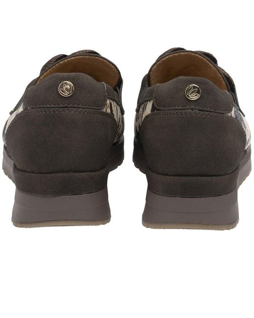 Lotus Black Maybelle Loafers