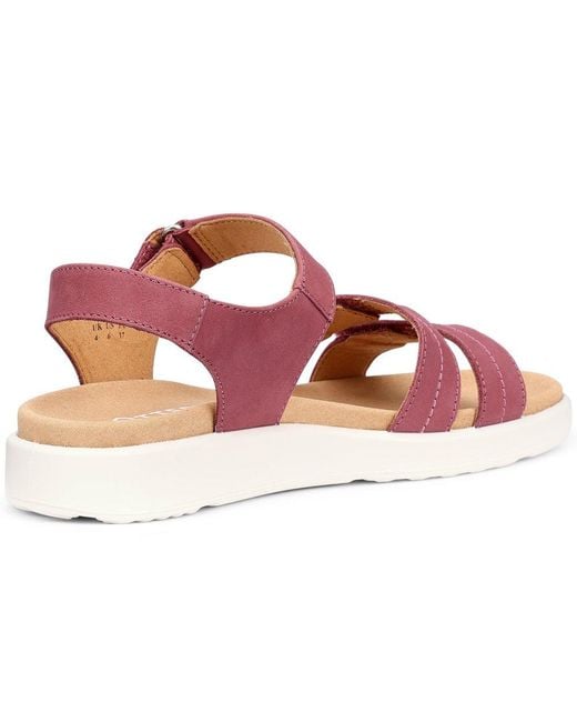 Hotter Pink Venice Sandals