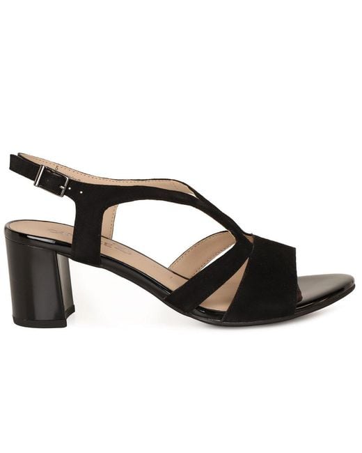 Caprice Brown Sail Sandals