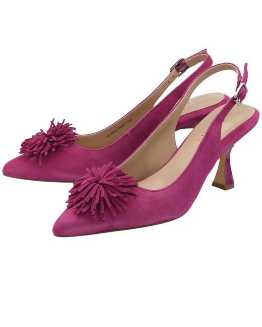 Lotus Purple Caterina Court Shoes