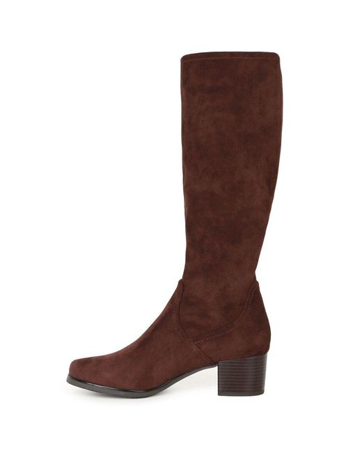 Caprice Brown Chloe Knee High Boots