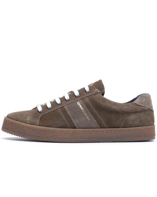 Base London Brown Hopper Cupsole Trainers for men