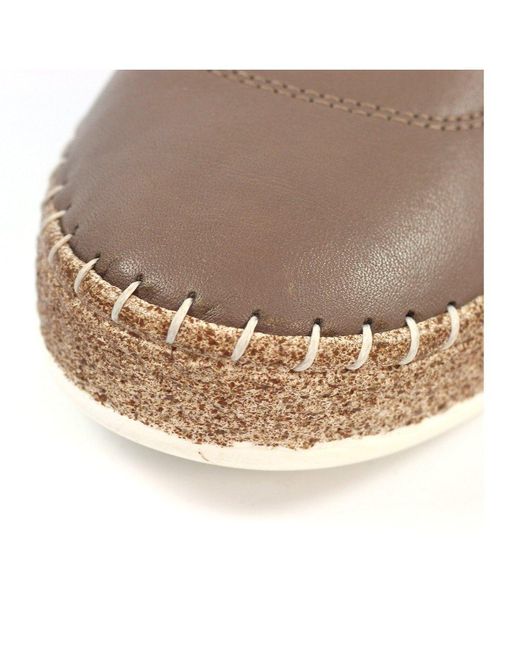 Lunar (GRS) Brown Evie Plimsoll Trainers