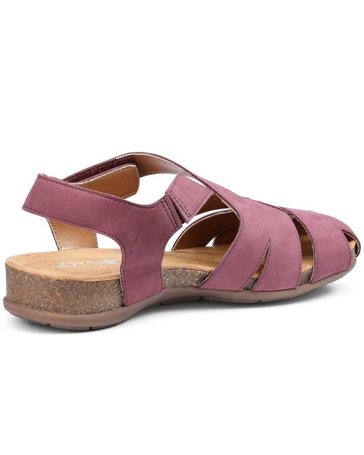 Hotter Purple Carpa Sandals