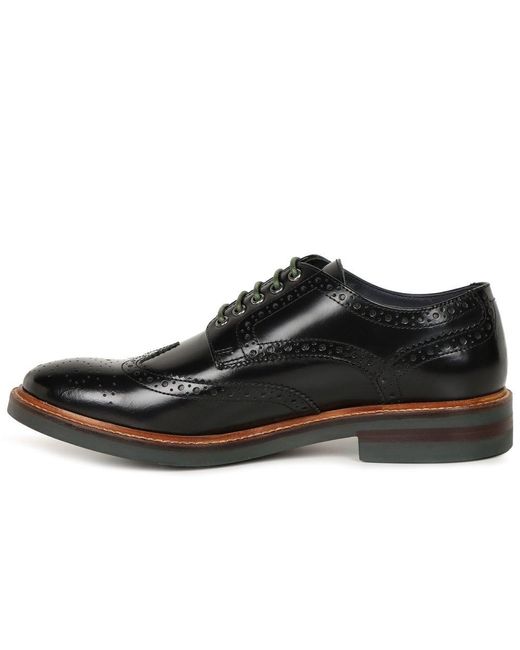Base London Brown Woburn Brogues for men