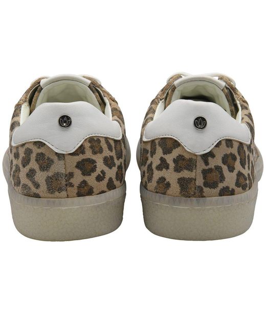 Lotus Multicolor Frapporta Trainers